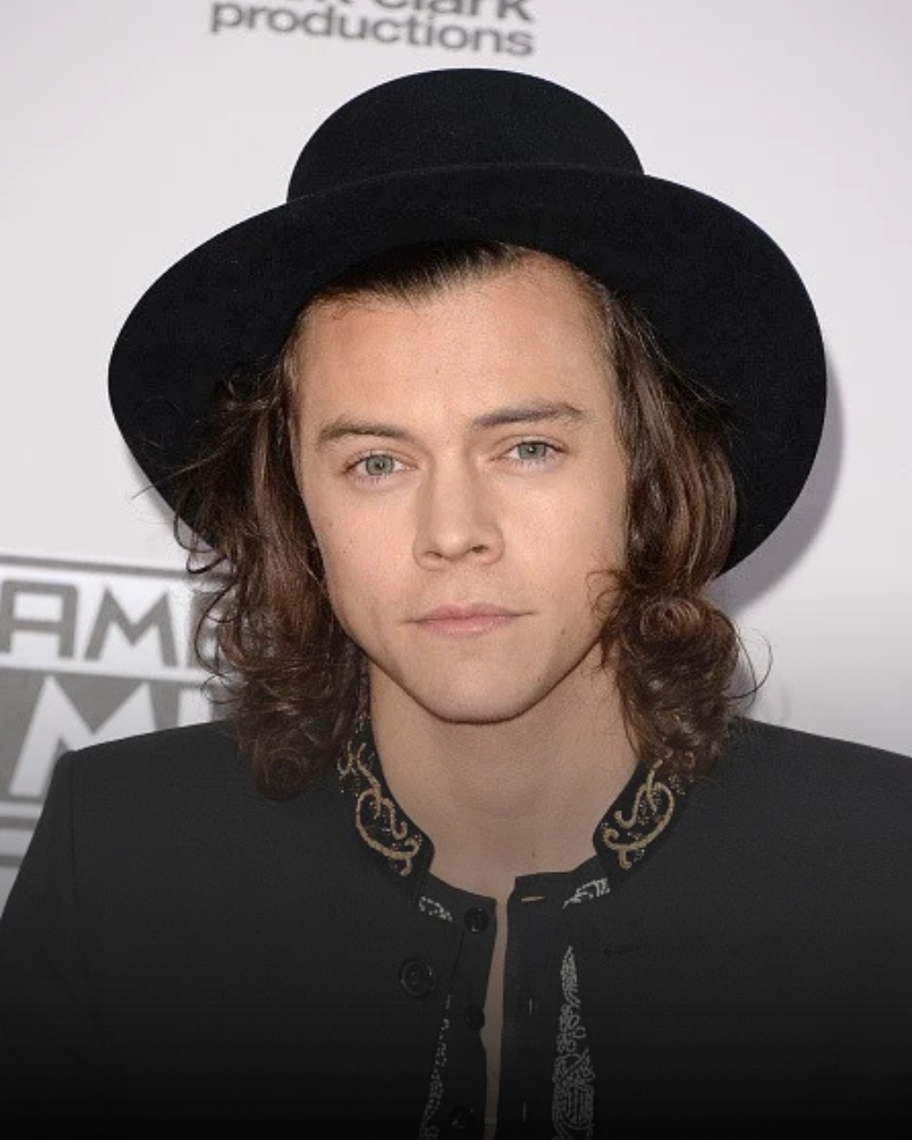 Harry Styles Net Worth - singer and former One Direction member